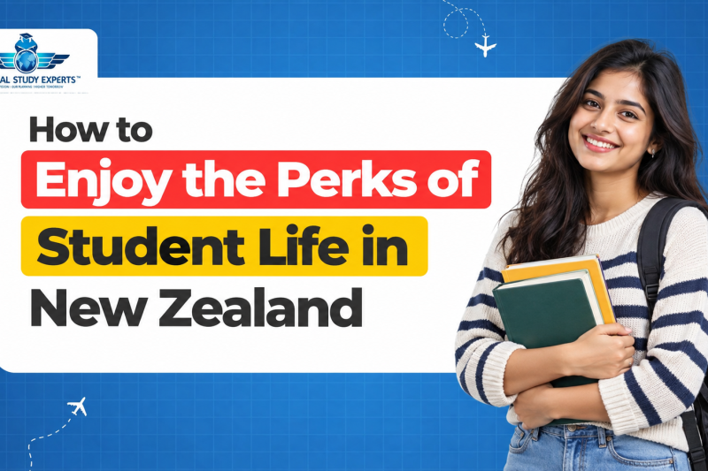 how-to-enjoy-the-perks-of-student-life-in-new-zealand